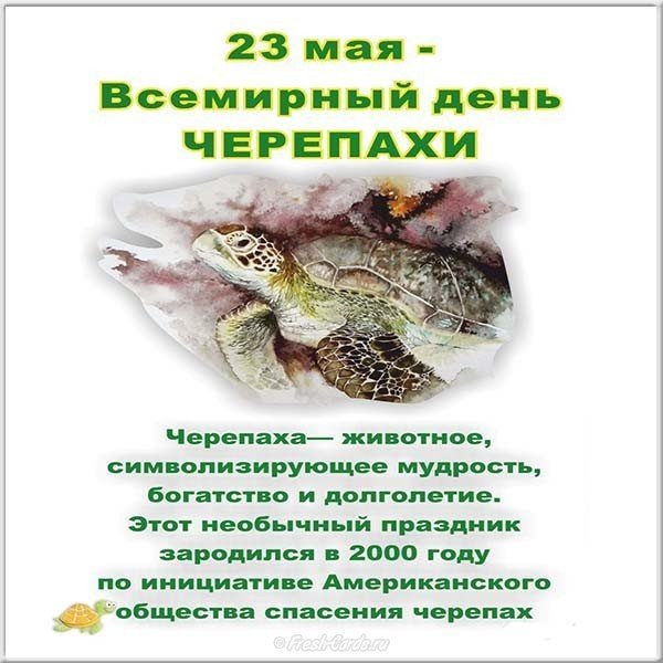 23 Мая праздник Всемирный день черепахи