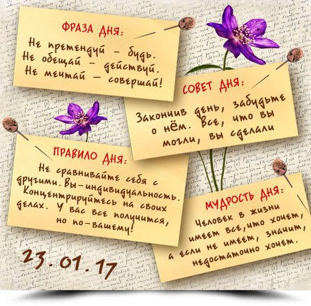 Совет дня Мудрые советы на каждый день