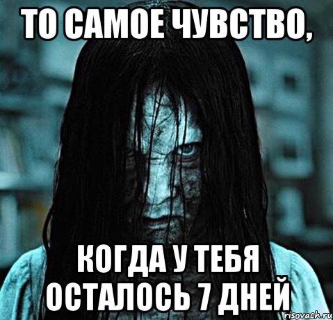 Тебе осталось семь дней
