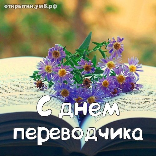 С днем Переводчика поздравление