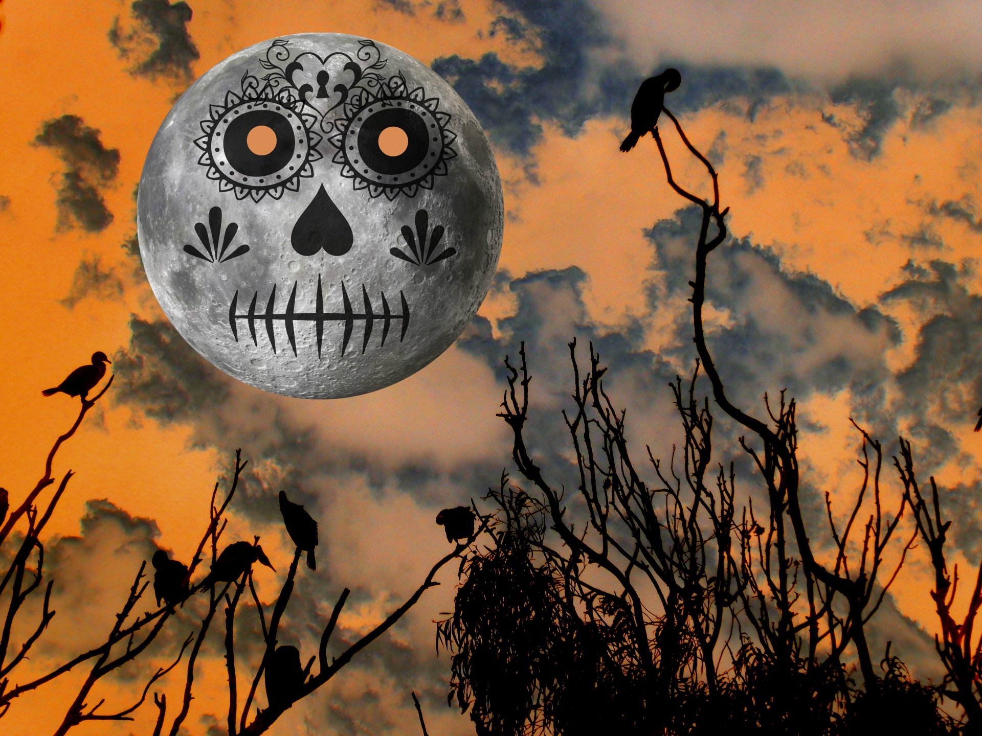 Scared moon. Хэллоуин полнолуние. Страшная Луна. Страшная Луна Хэллоуин.