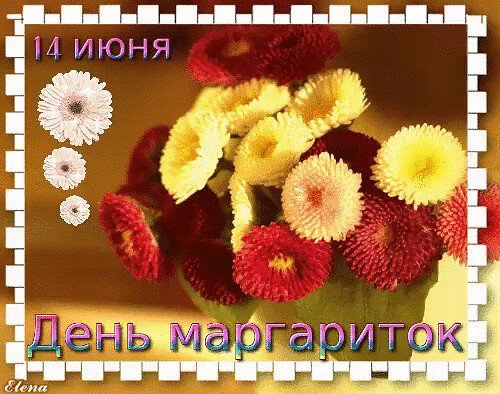 День маргариток