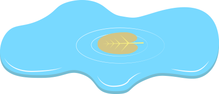 Детский сад лужа