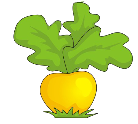 Репка из Репки