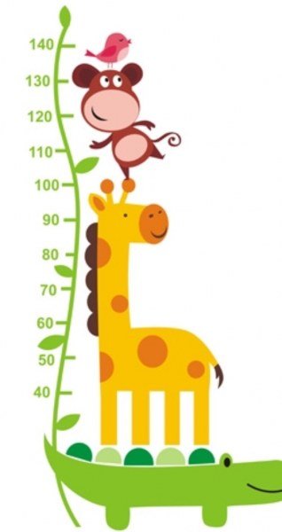 Ростомер детский на прозрачном фоне