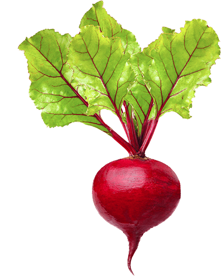 Свекла для детей