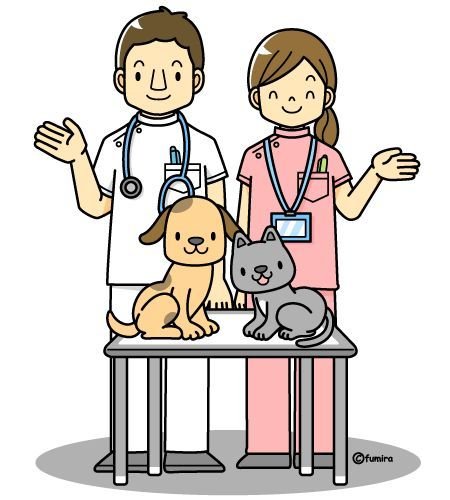 Детские иллюстрации ветеринар