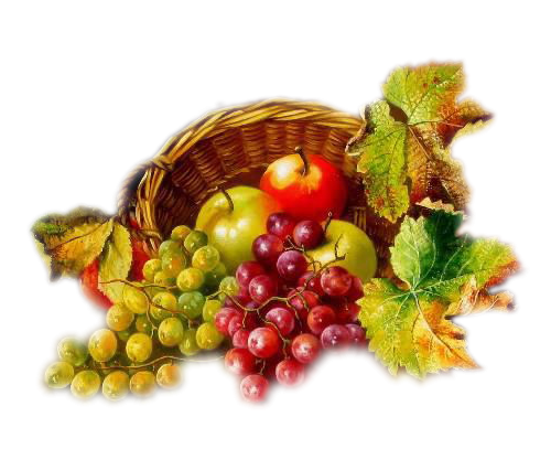 Надпись месяцев