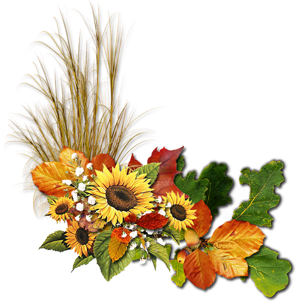 Ветка с яблоками на белом фоне