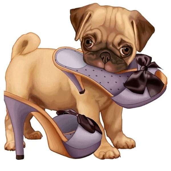 Скрап собака