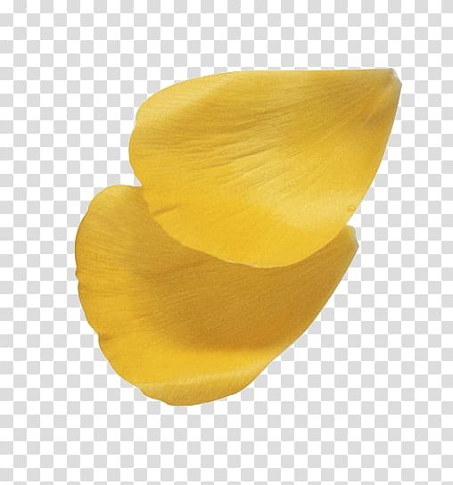 Голубой лепесток