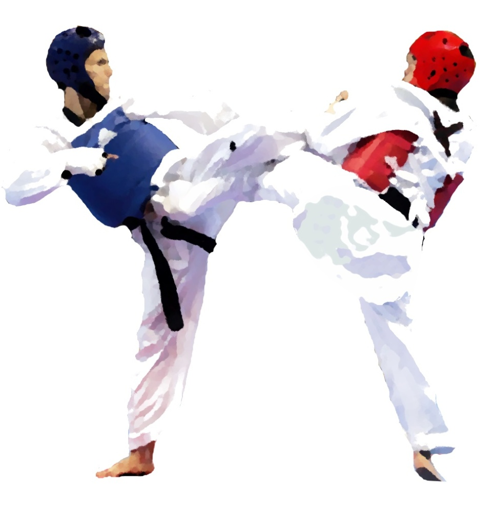 Pro тхэквондо. Combat Taekwondo. Taekwondo кьекпа. Тхэквондо спарринг вектор. Каратэ на белом фоне.