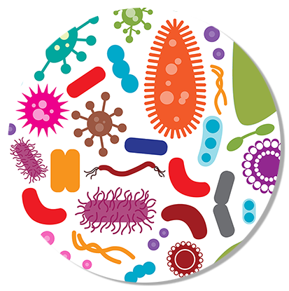 Полезные бактерии вектор