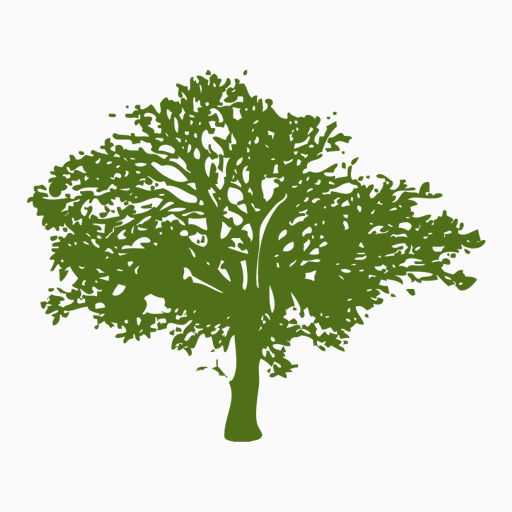 Фотоаппарат Графика