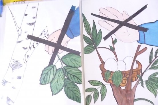 Знак не рвите цветы