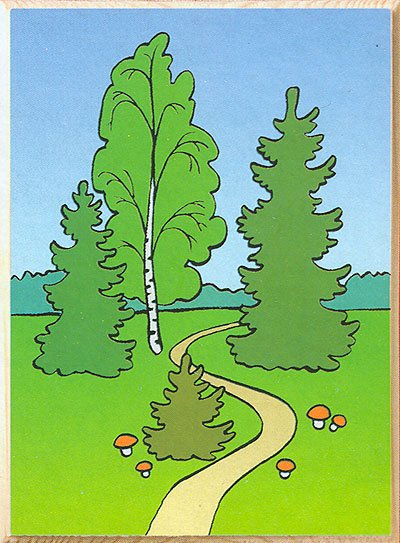 Дорожка в лесу для детей