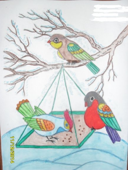 Конкурс рисунков Покормите птиц