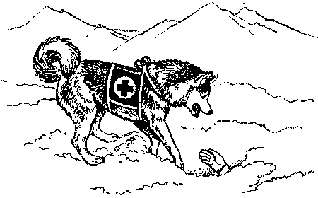 Серия сюжетных картин собака санитар