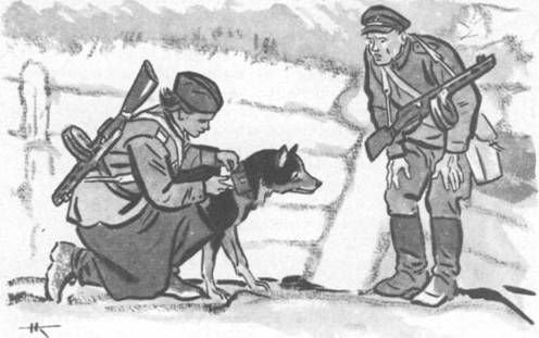 Животные на войне 1941-1945 рисунки