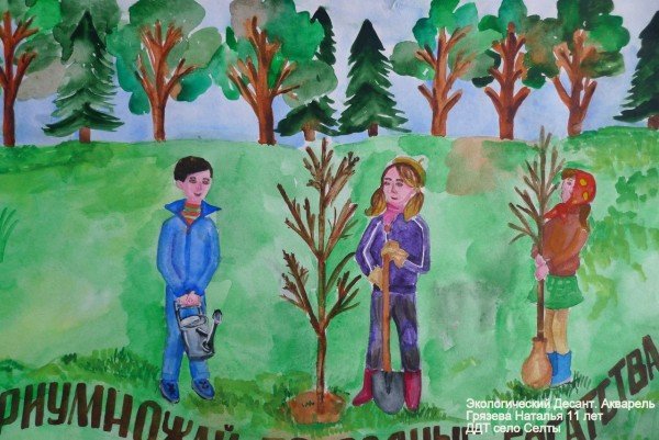 Я защитник природы рисунок