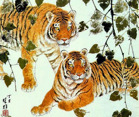 Год тигра картинки