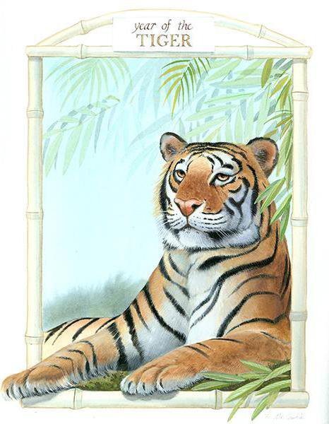 Год водяного тигра