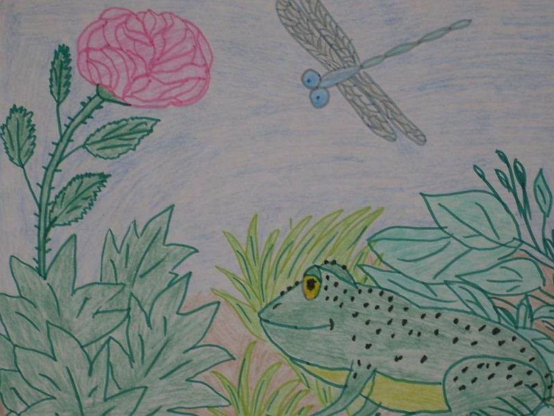 Серая звездочка читательский дневник. Гаршин сказка о жабе и Розе рисунок. Рисунок к произведению Гаршина сказка о жабе и Розе. Сказка о жабе и Розе Гаршин рисунок детский.