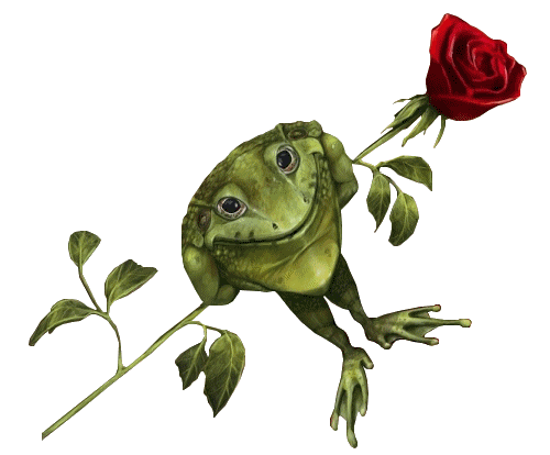 Гаршин сказка о жабе и Розе