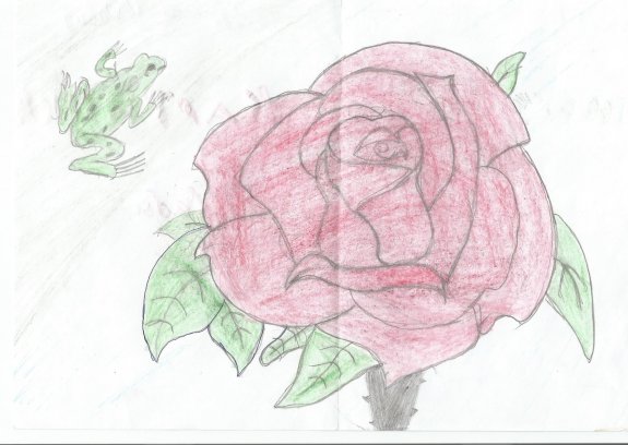 Иллюстрация к сказке о жабе и Розе