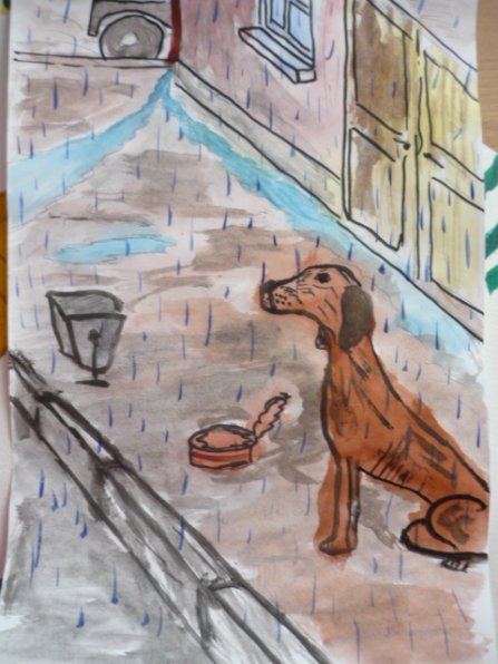 Конкурс рисунков бездомные животные