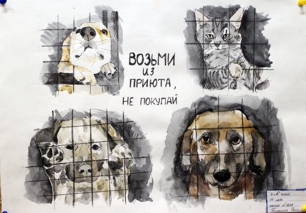 Бездомные животные рисунки