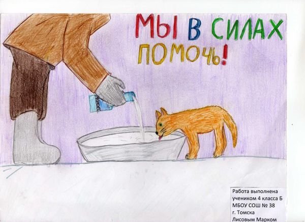 Плакат на тему бездомные животные