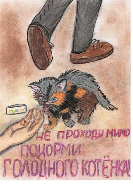 Плакат в защиту бездомных животных