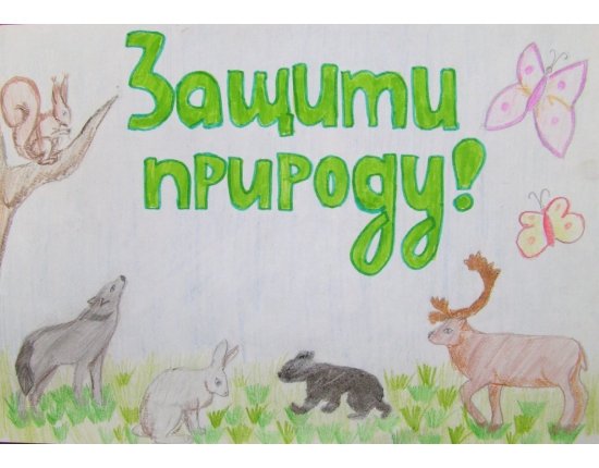 Плакат заповедник