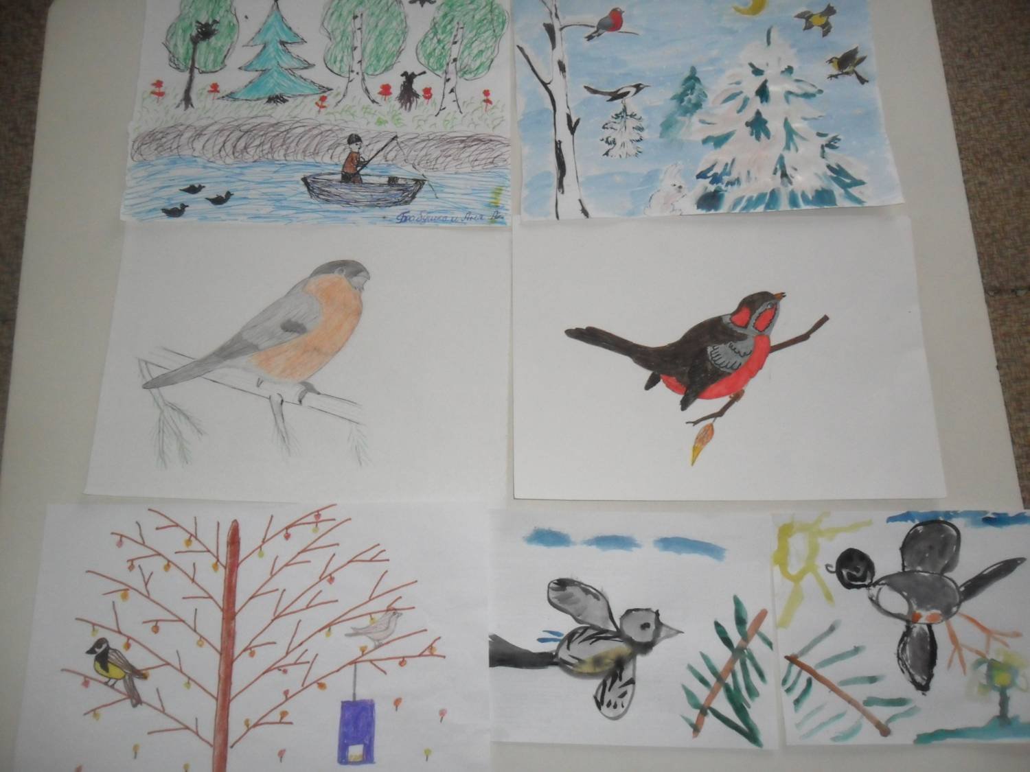 Рисование зимующие и перелетные птицы