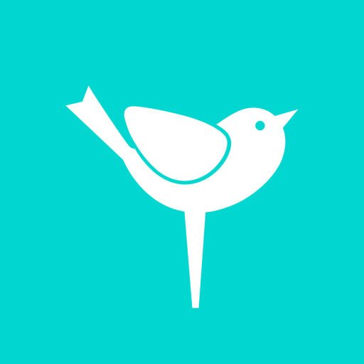 Птичка Бифри