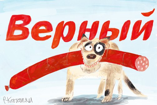 Верный магазин логотип