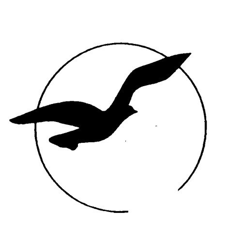 Символ птицы