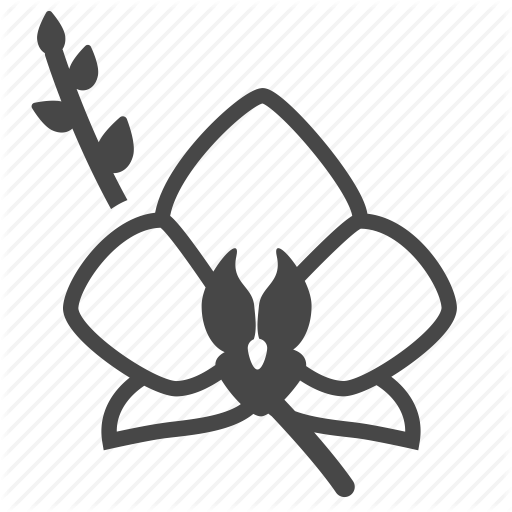 Орхидея иконка