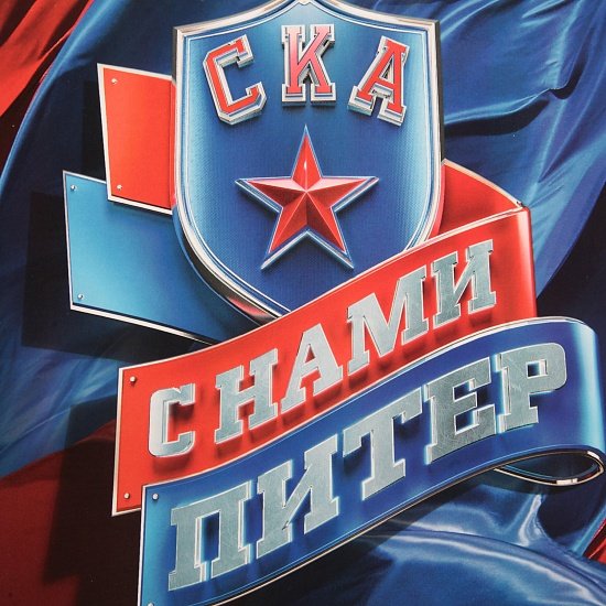 СКА серебряные львы 2010