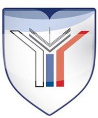 Школа бизнеса МГИМО лого