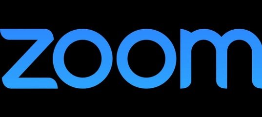 Zoom logo без фона
