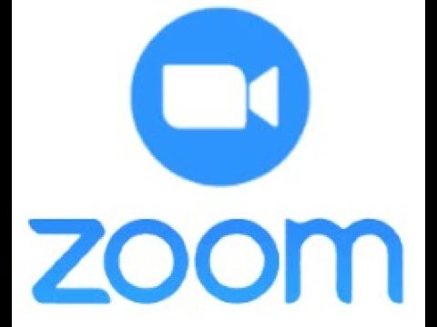 Логотип Зума