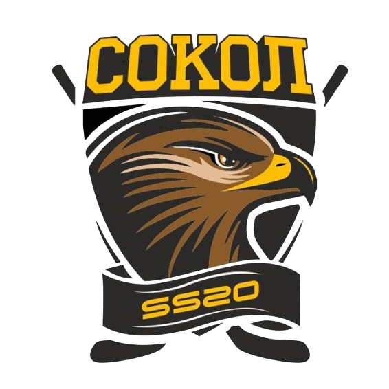 Логотип команды Сокол