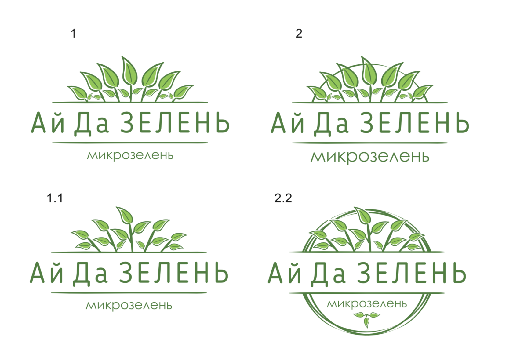 Фирма зелень. Микрозелень логотип. Микрозелень этикетка. Визитка микрозелень. Название фирмы микрозелени.