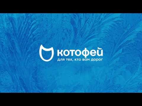 Логотип Котофей клиники