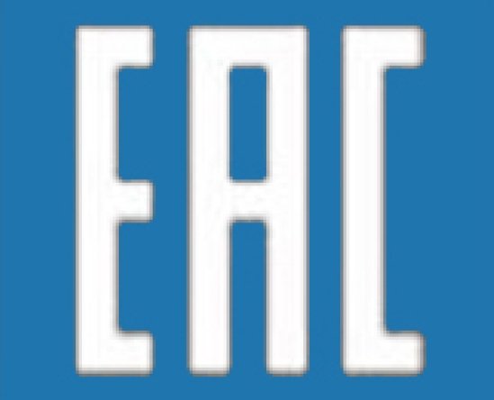 Таможенный Союз логотип