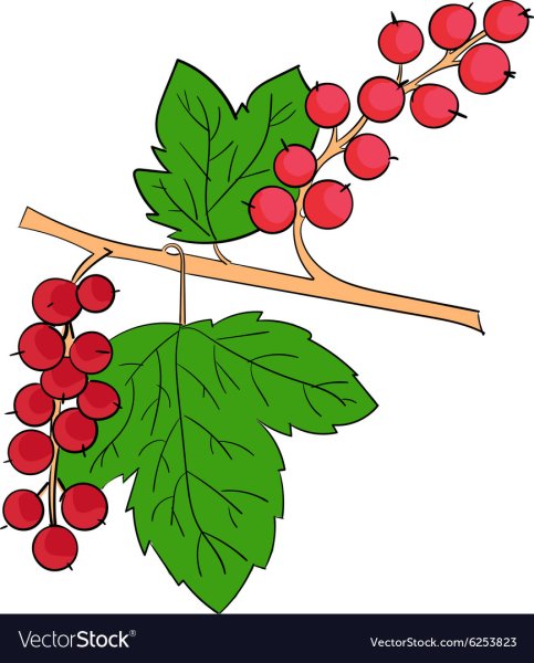 Ягоды раскраска для детей