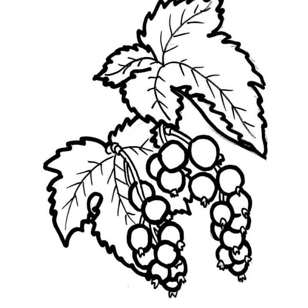 Пазлы фрукты и ягоды