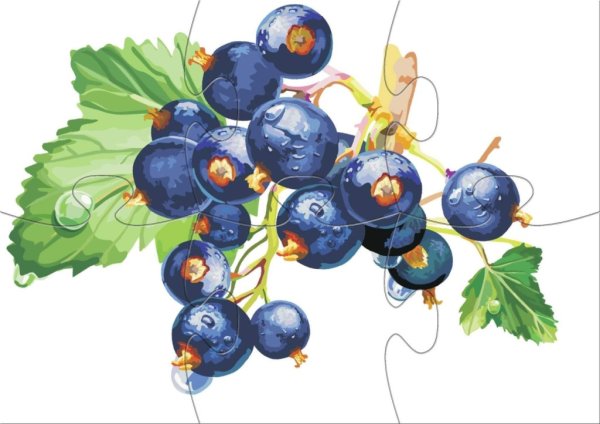 Веточка смородины